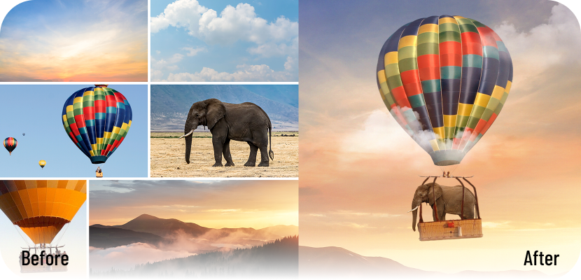 Elephant on an Air Baloon